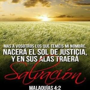 Meet your Posher, Glenda